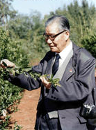章文才