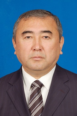 伊尔扎提·扎达