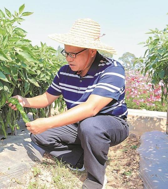 黄显良