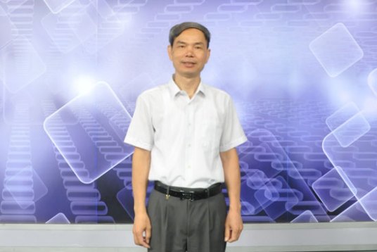 陈理