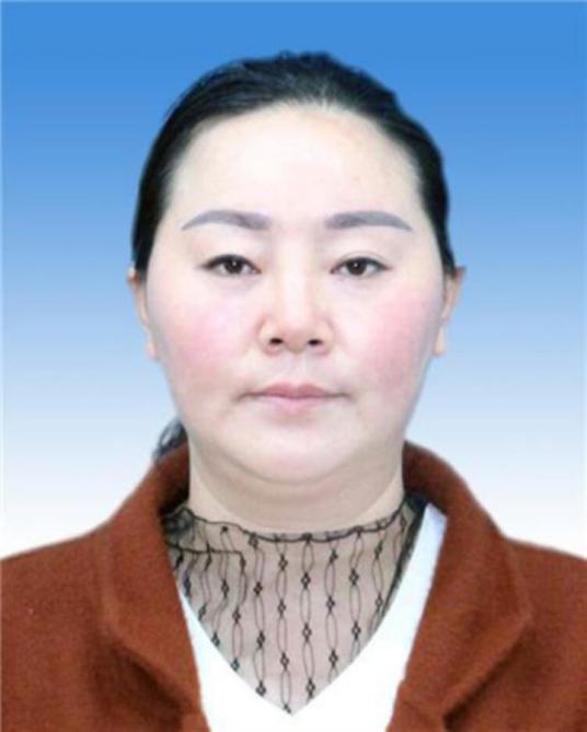 乔进双梅