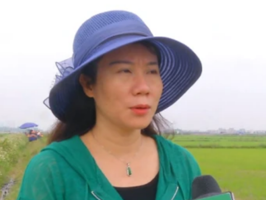 林家如