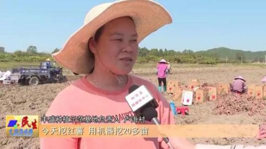 卢海衬