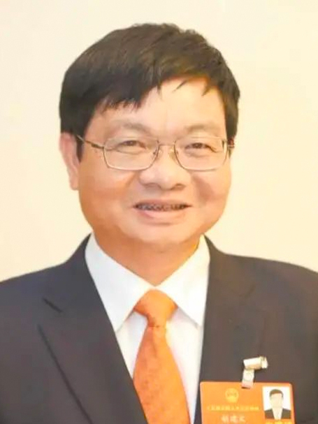 胡建文