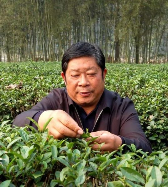 闵洪艳