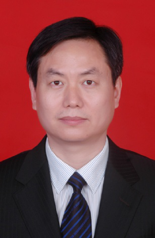 摆向阳简介