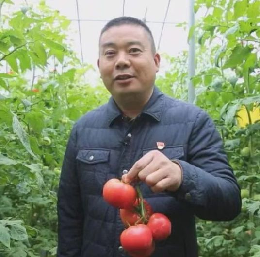陈保超