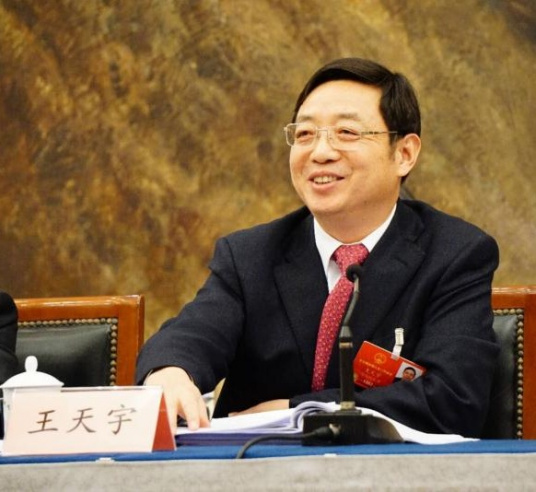 王天宇