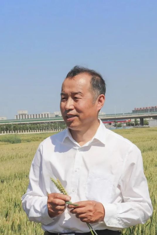 刘建军