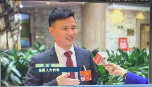 刘廷