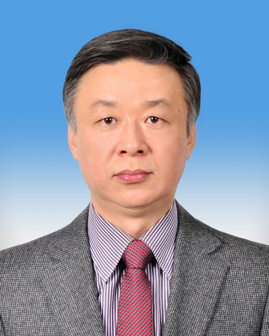 杨晓慧