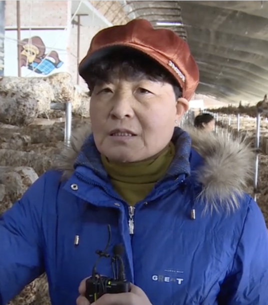 崔丽枝