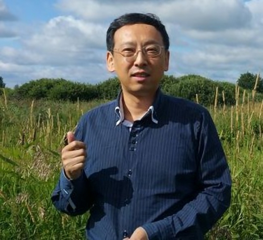 杭侃