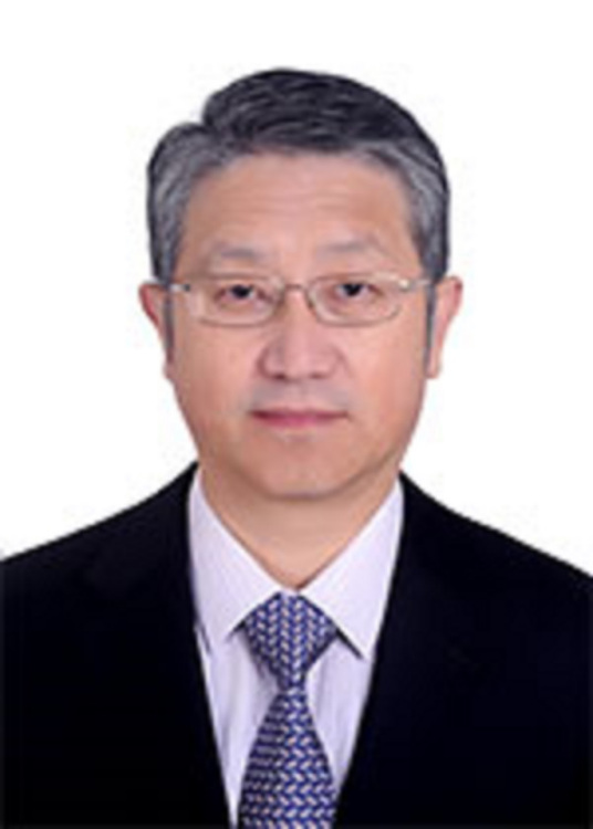 刘泽金
