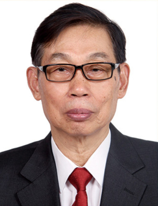 孙九林