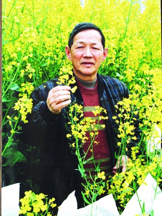 傅廷栋