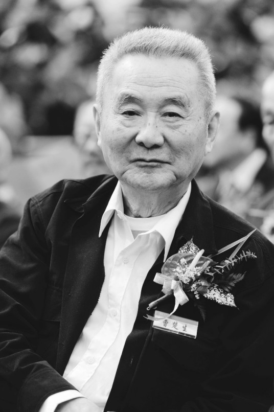 曹楚生